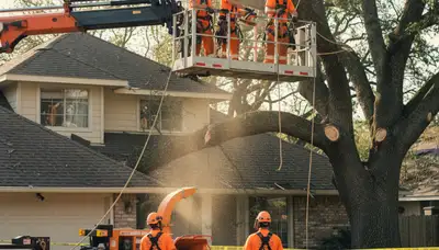 Emergency tree service crew removing a fallen tree in San Antonio, TX after storm damage