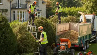 San Antonio tree service crew removing overgrown shrubs for a cleaner yard