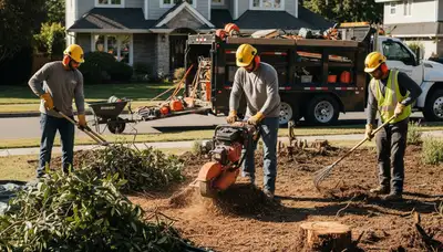 San Antonio shrub removal crew clearing overgrown shrubs for a cleaner yard