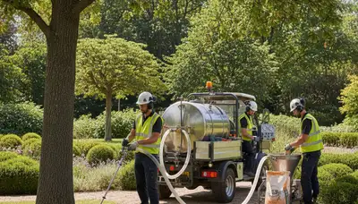 Tree fertilizing service for healthy trees in San Antonio, TX by Arbor Tree Care