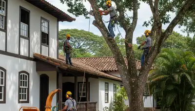 Tree service crew trimming trees in San Antonio, TX for safe, professional property care