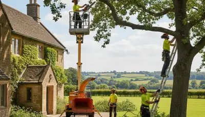 Tree service crew trimming trees in San Antonio, TX for residential property maintenance
