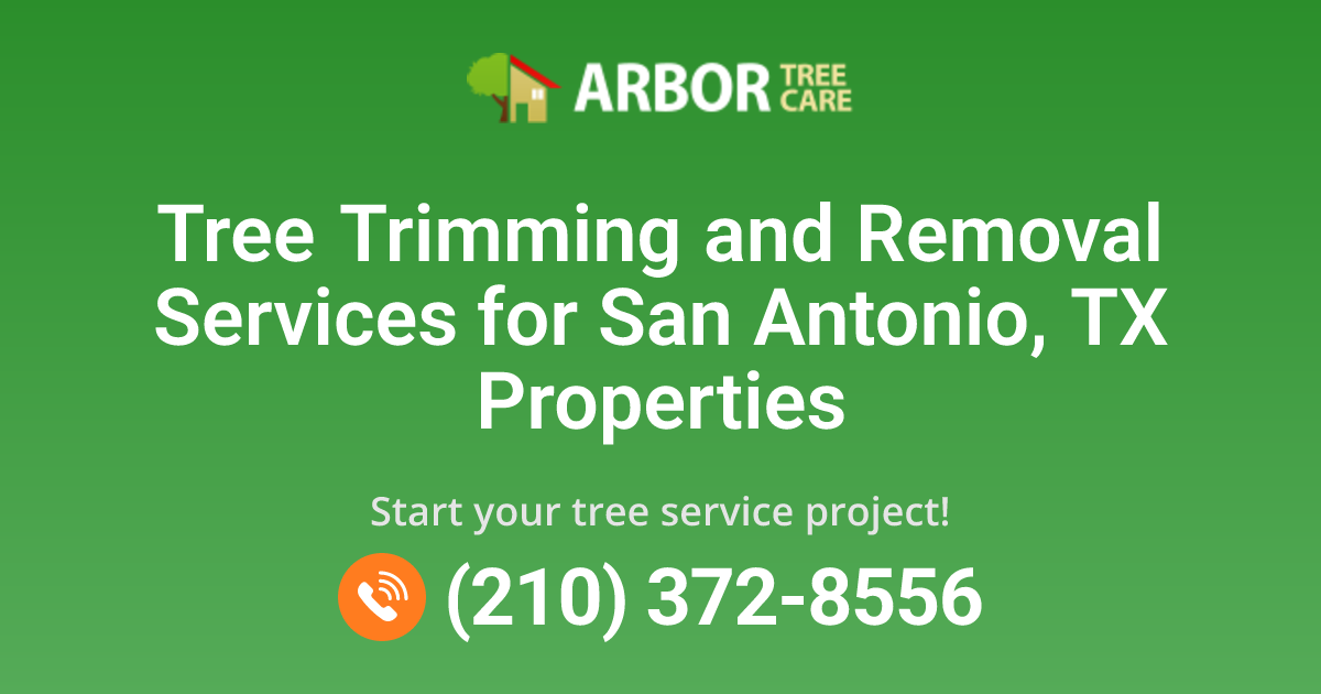 San Antonio, TX Tree Service Company | Arbor Tree Care